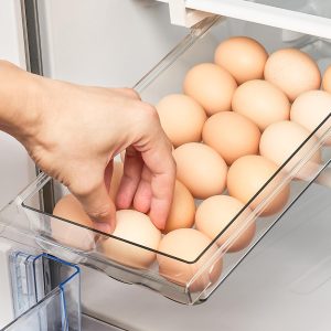 نگهداری از تخم‌مرغ در یخچال