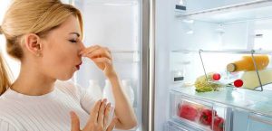 راهکارهای موثر برای جلوگیری از ایجاد بوی بد در یخچال‌ها